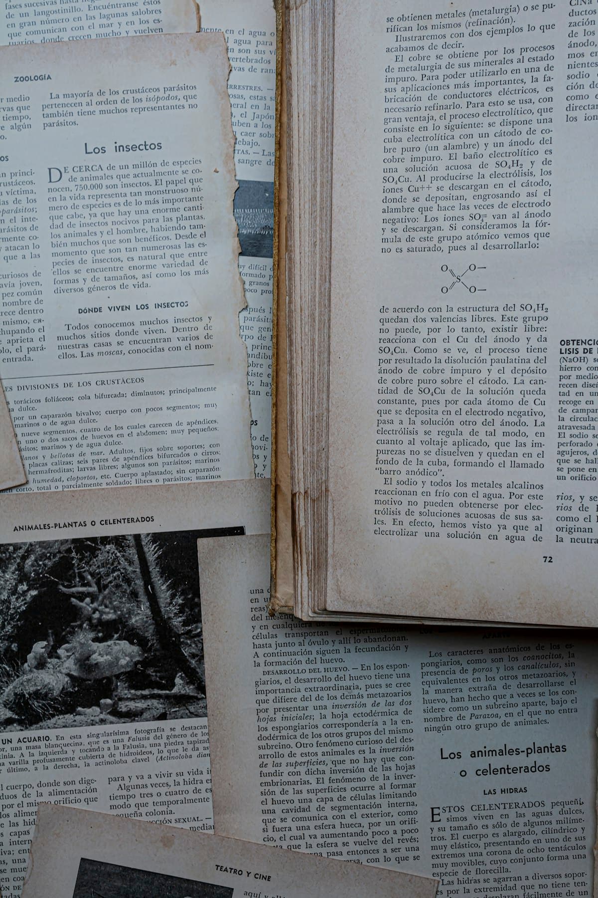Archival manuscript pages, representing textual sources for research
